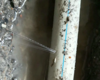 枣庄卫生间测漏水多少钱