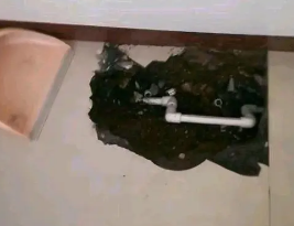 枣庄卫生间测漏水多少钱